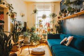 Biophilic Interior Design: What Is It and Why Should You Try It?